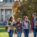 what's the difference between college and university